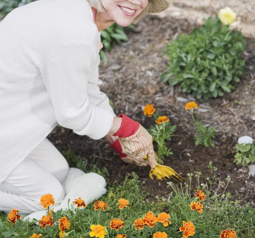 Blommor har en hälsosam effekt